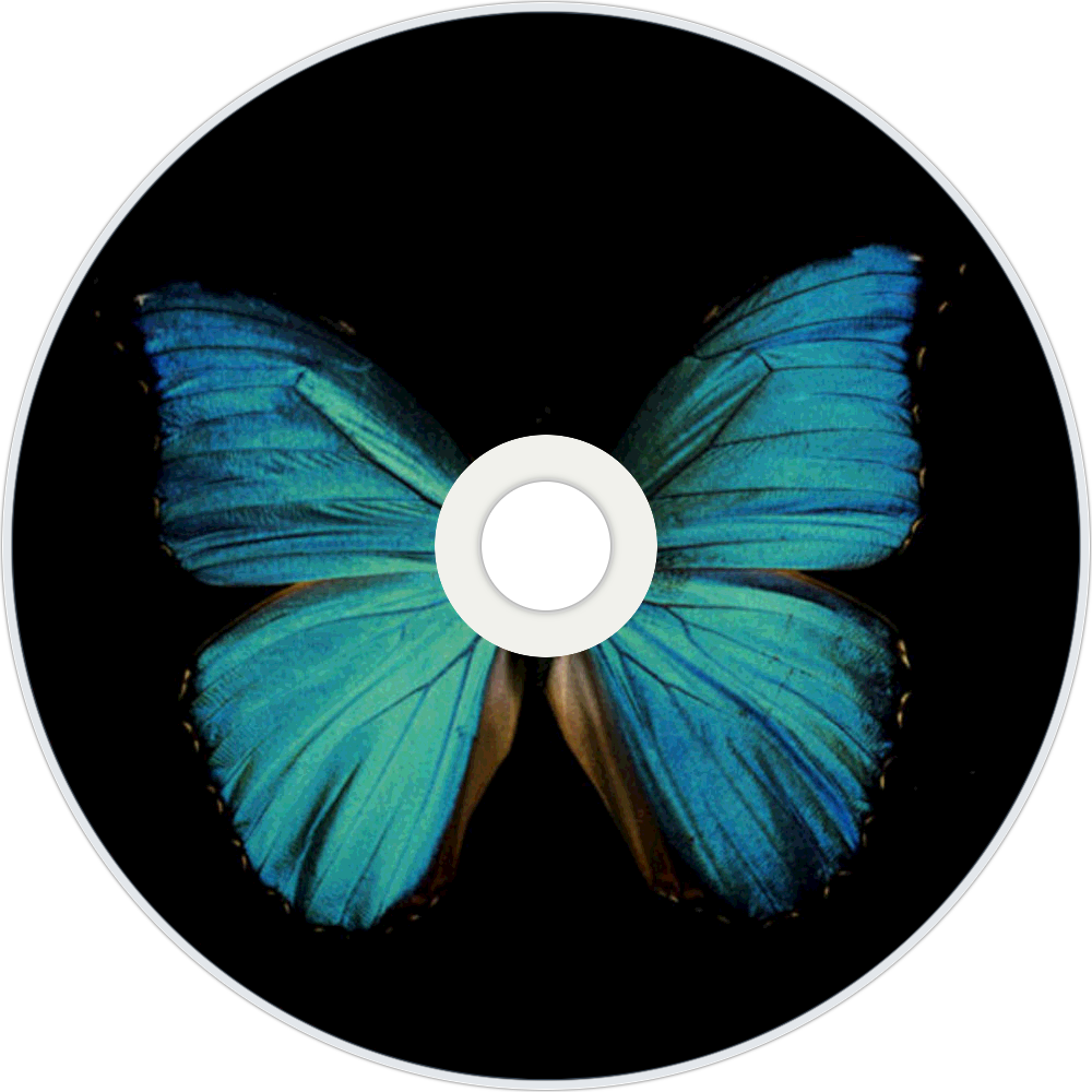 CD 10